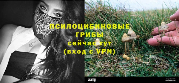 прущий лед Алексин