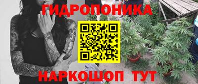 прущие крисы Малгобек