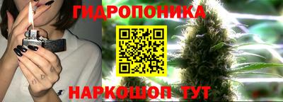 молекула духа Мариинск
