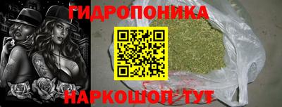 прущие крисы Малгобек