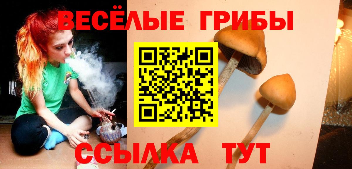 Кинель  Псилоцибиновые грибы ЛСД  Вход с VPN 